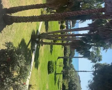 酒店 瑞斯可酒店 3*