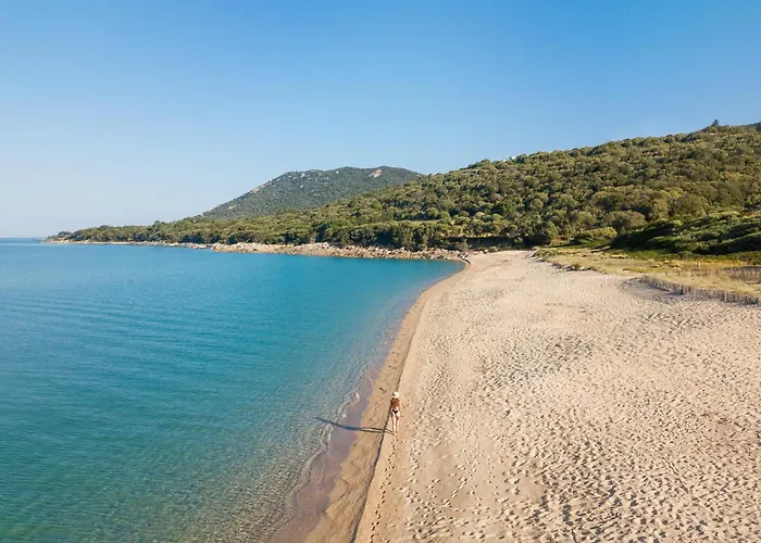 Hotel Le Ruesco Olmeto (Corsica)